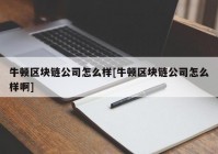 牛顿区块链公司怎么样[牛顿区块链公司怎么样啊]